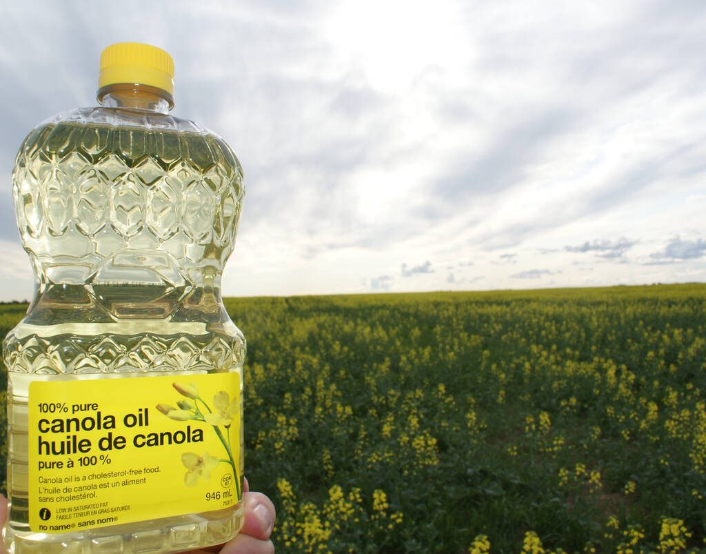 Bottle of canola oil in a field of canola.