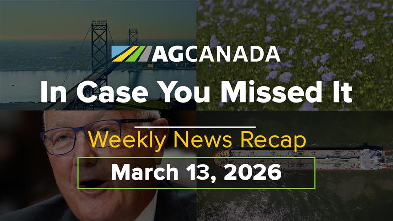 In case you missed it title card.