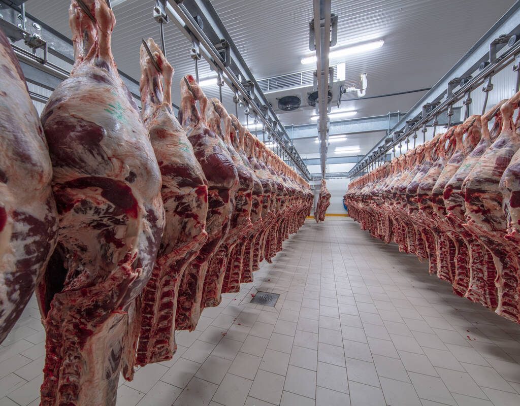 Hinds of beef hang from rails in a cooler at a meat processing plant. The strike at JBS’s Greely, Colorado site dealt a blow to U.S. processing capacity.