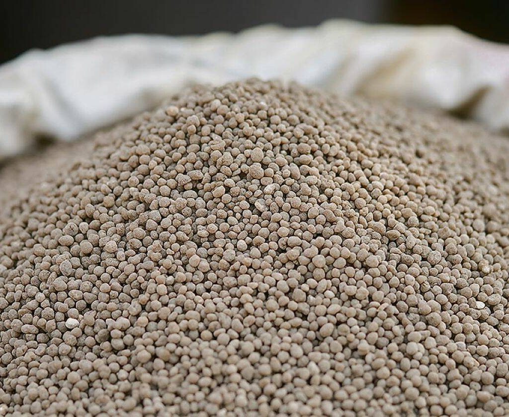 A pile of granular phosphate fertilizer in a sack. Photo: Getty Images Plus