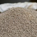 A pile of granular phosphate fertilizer in a sack. Photo: Getty Images Plus