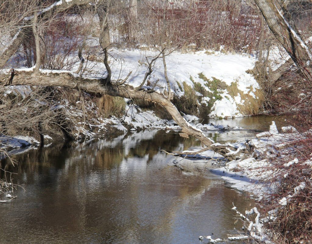 A creek runs with snowmelt water below banks with trees and remnants of snow. Photo: Geralyn Wichers