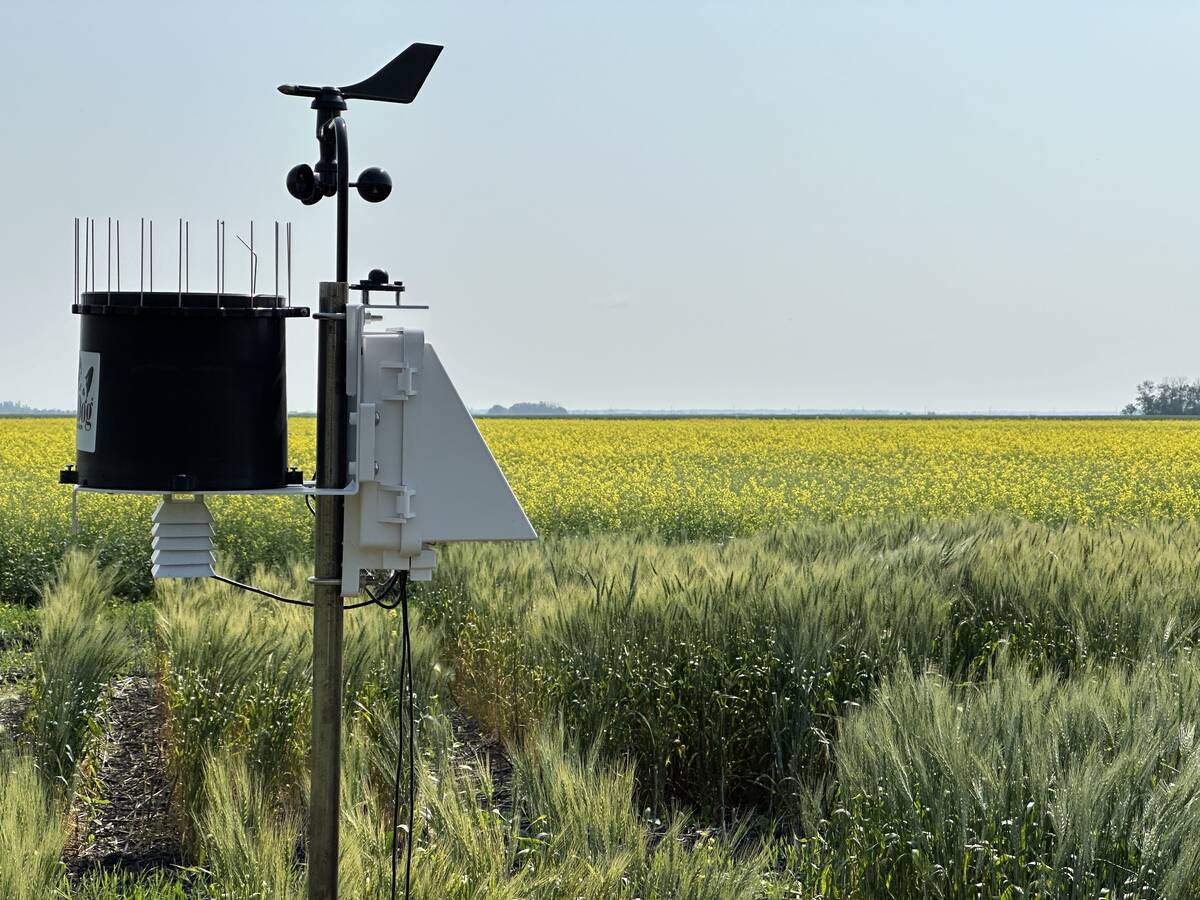 292409_web1_Weather_Station_Carman_MB_2024_DN - AgCanada