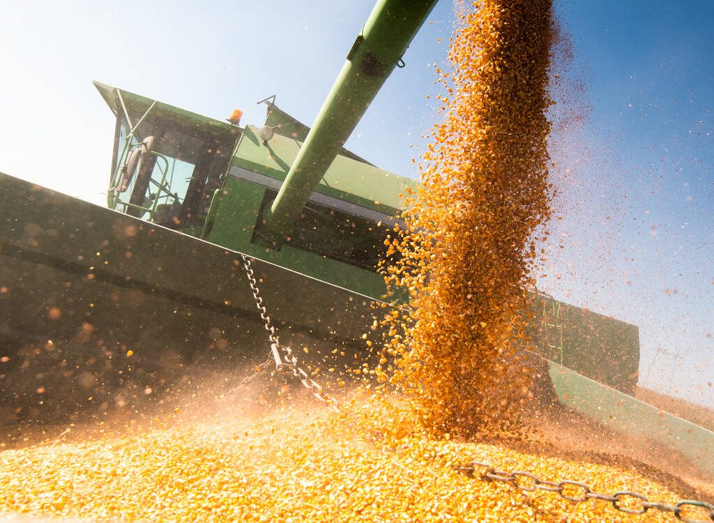 Pouring corn grain into tractor trailer after harvest at field. The USDA released its latest supply and demand estimates in April 9, 2026, with very few changes from its March report.