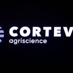 The logo for Corteva Agriscience, is displayed on a screen at the ew York Stock Exchange (NYSE) in New York, U.S., June 3, 2019. In October of 2025, Corteva said it would separate its seed and pesticide businesses into separate listed companies to sharpen its strategic focus. Photo: REUTERS/Brendan McDermid