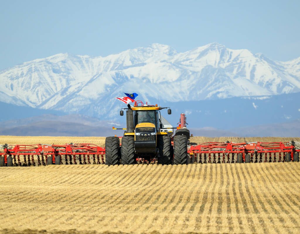 A yellow tractor pulls an air seeder, seeing a wheat crop directly into stubble in a field west of Cayley, Alta. Photo: Mike Sturk