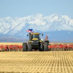 A yellow tractor pulls an air seeder, seeing a wheat crop directly into stubble in a field west of Cayley, Alta. Photo: Mike Sturk