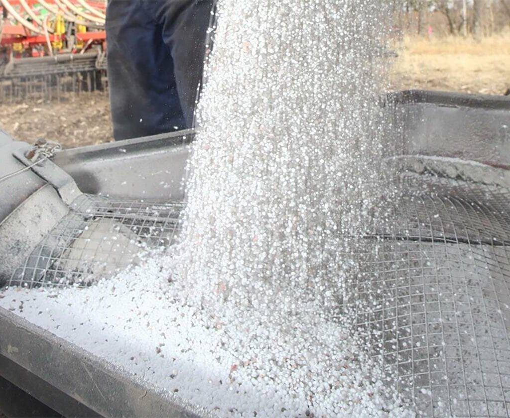 White pellets of urea fertilizer pours into a hopper. Photo: File