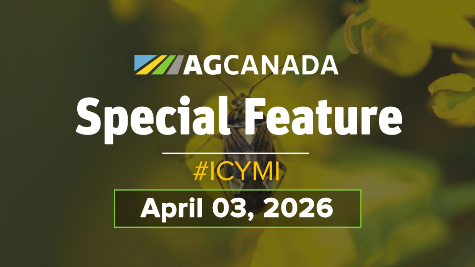 Title Card for an In Case You Missed It Special feature for April 3, 2026.