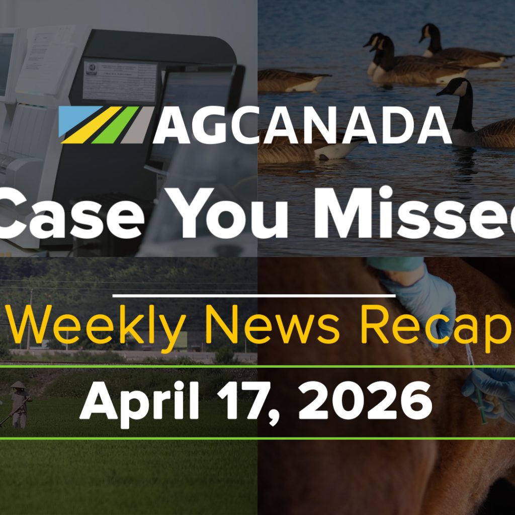 In case you missed it title card for April 17, 2026.