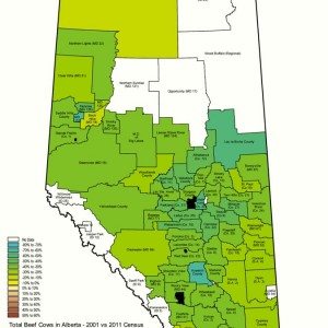 Alberta map showing cattle operations experiencing growth.