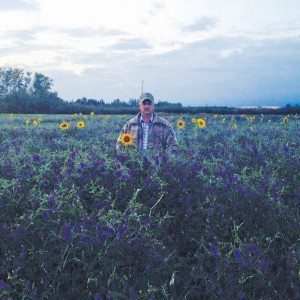 man standing in crop