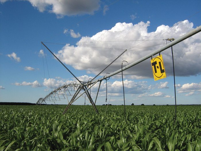 Irrigation investments conserving water in Alberta