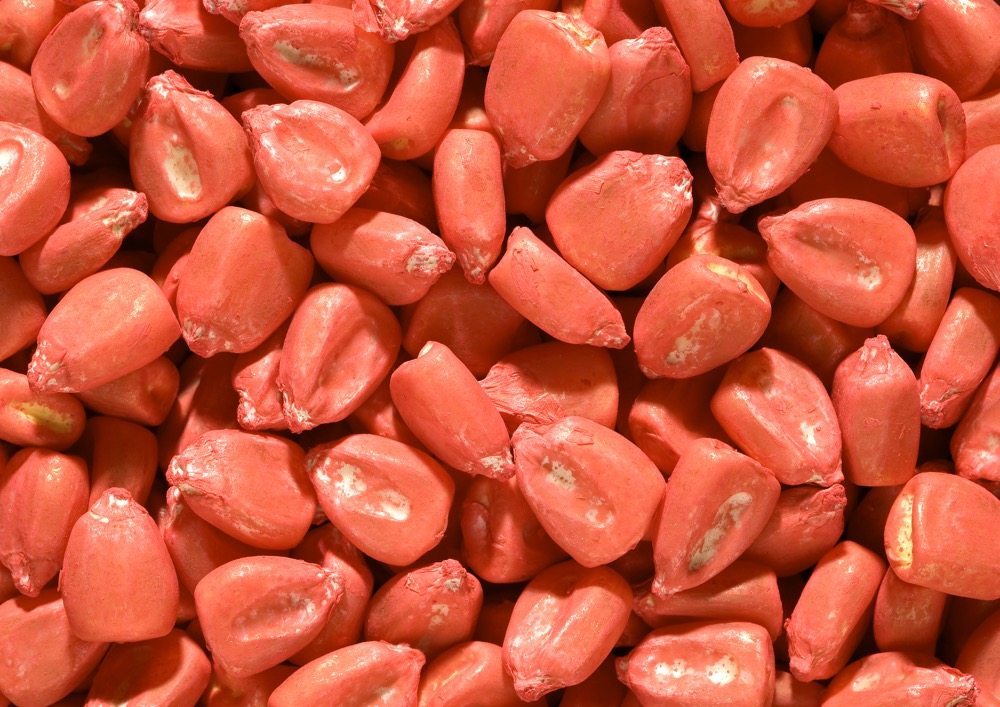 Free guide available on dealing with treated seed