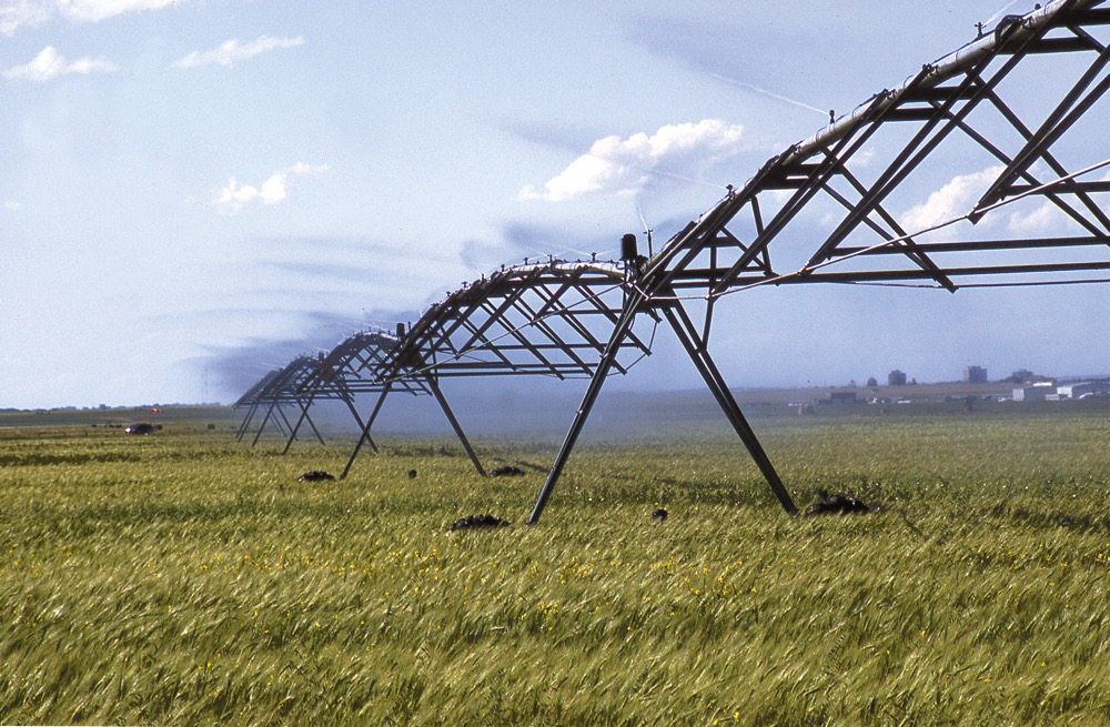 Grants available for irrigation upgrades Alberta Farmer Express