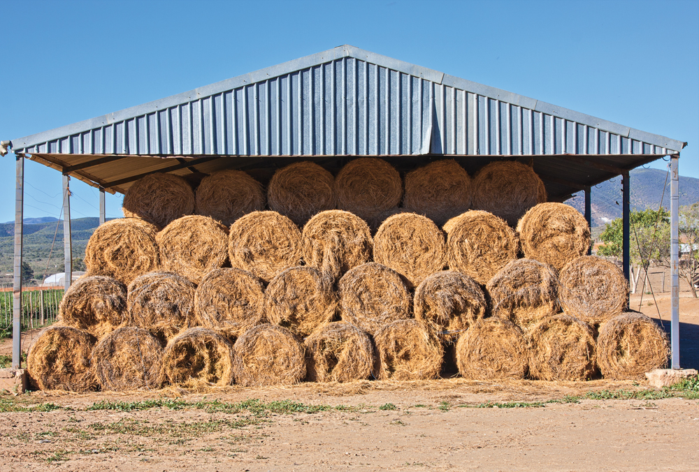 Properly protecting hay saves you winter feeding costs