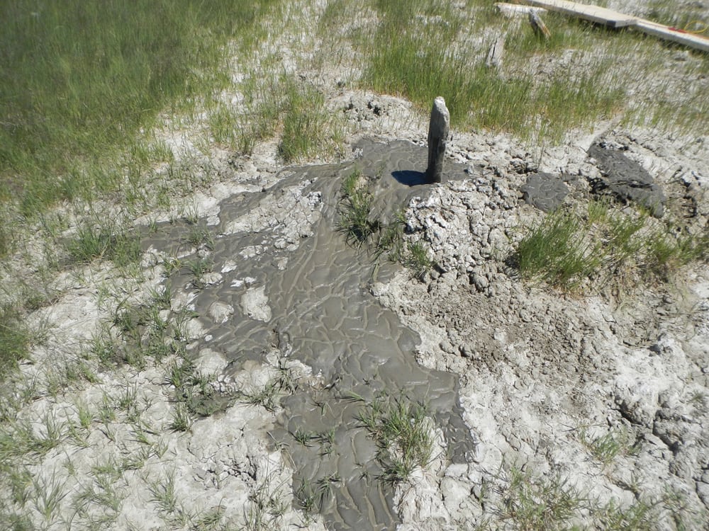 Researchers aim to get a handle on mysterious soap holes Alberta