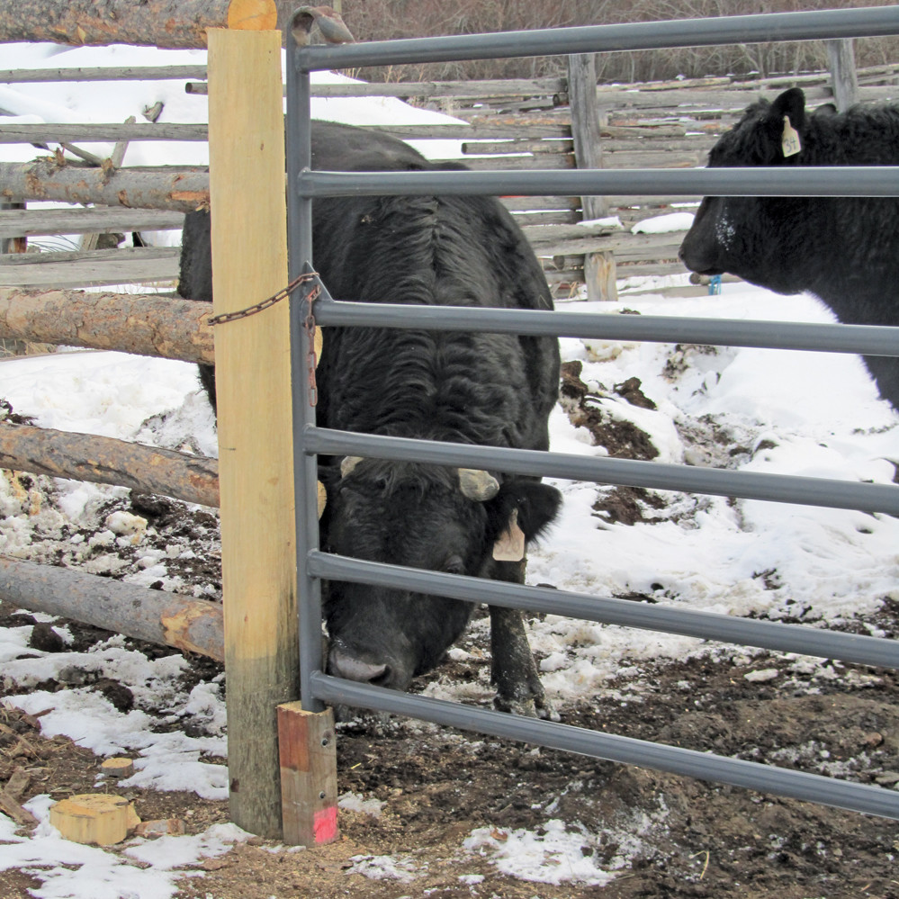 A support on the latch end of the gate will help to reduce sagging.
