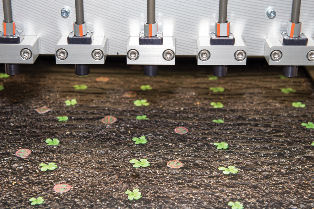 This mock up demonstrates how the robot can “punch” weeds and kill them without the use of herbicides.
