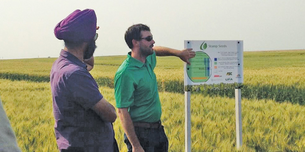On the Stamp’s Select Seeds field day, Greg explained their trials map and the applications done in the field. Watching on the left is Harpinder Randhawa, senior wheat breeder at Agriculture Canada’s Prairie Spring Red wheat breeding program at Lethbridge.