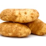 russet potato in Idaho