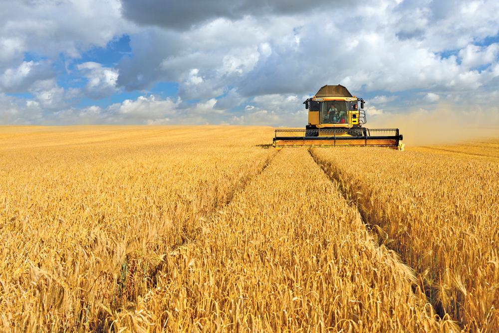 Harvest Harvest