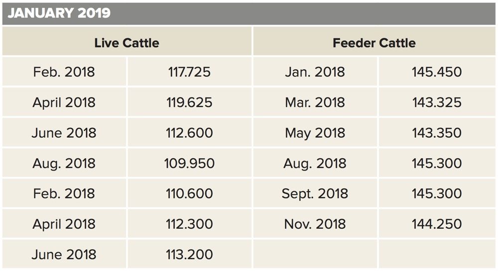 Today’s cash cattle market is deceiving Grainews