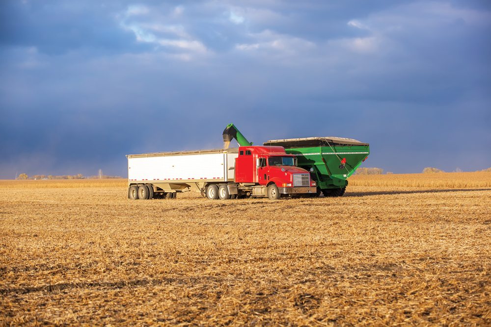 Are your grain deliveries protected? Grainews