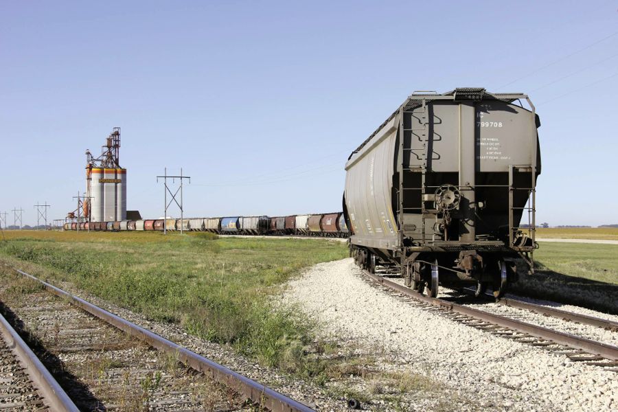 New insights into Canadian Wheat Board orderly marketing Manitoba Co