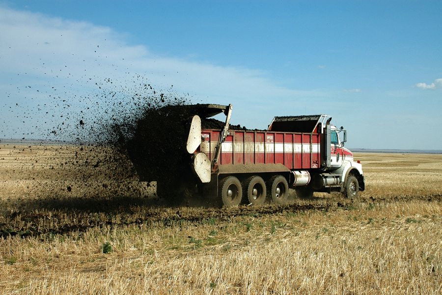 Getting your nitrogen fix from manure a slow and steady process