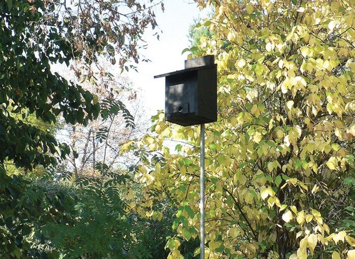Winter shelter for backyard birds Manitoba Cooperator