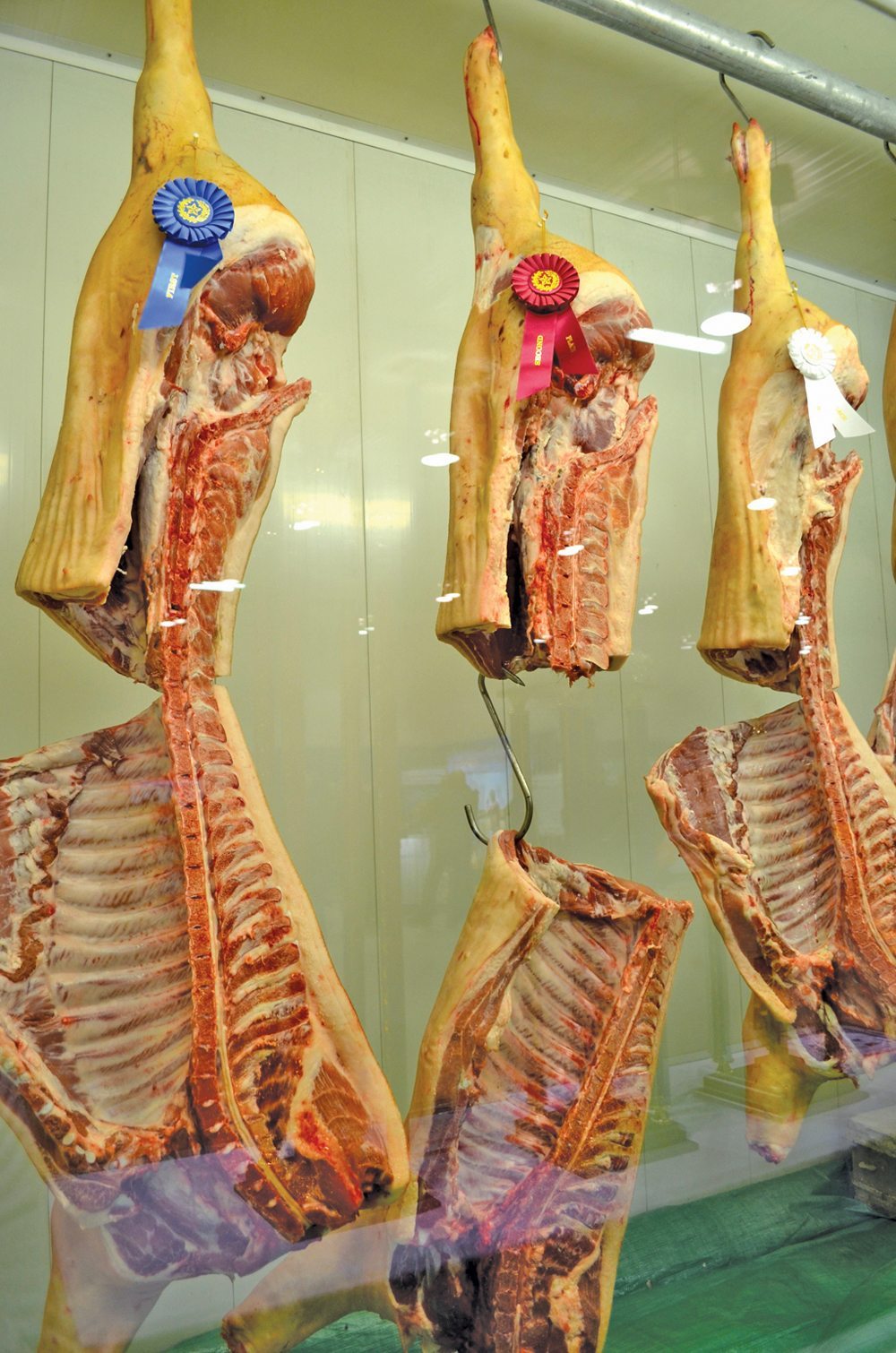 Hog Days held its annual pork quality contest where producer-submitted carcasses are graded on weight, fat content, texture, marbling and colour.