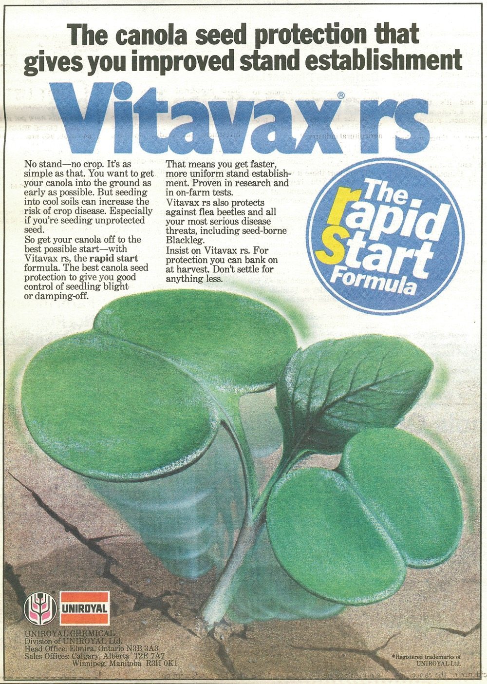 Our History Vitavax and the head lice connection