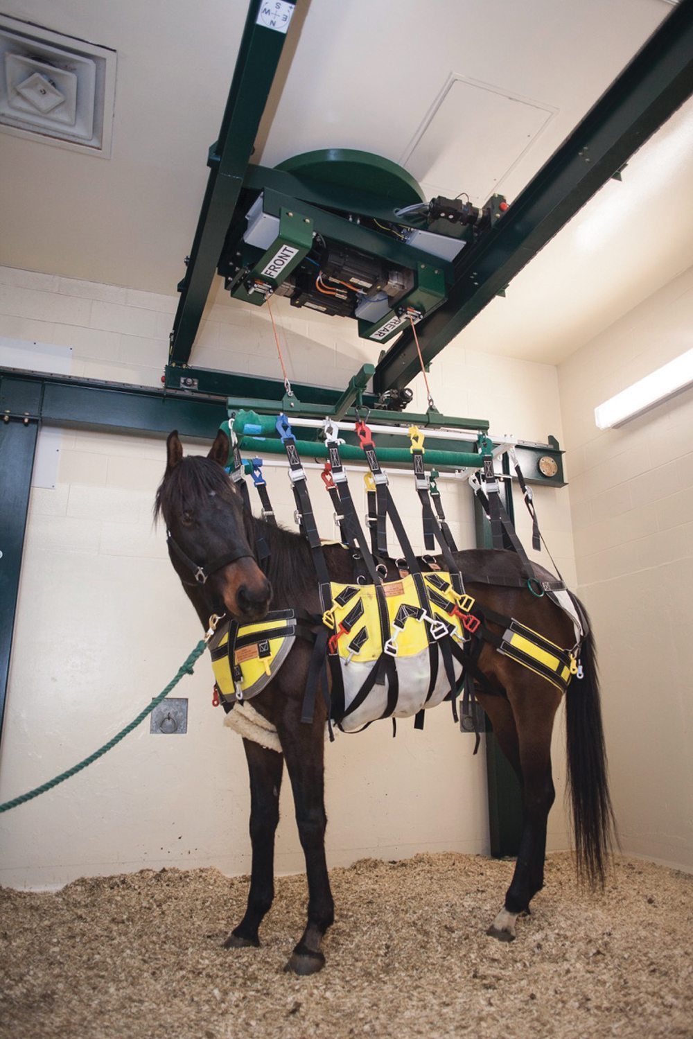University of Saskatchewan horse lift helps heal injured horses