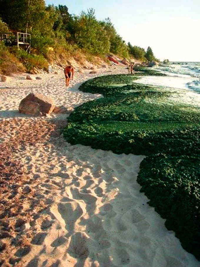 Lake Winnipeg Foundation water monitoring pilot underway