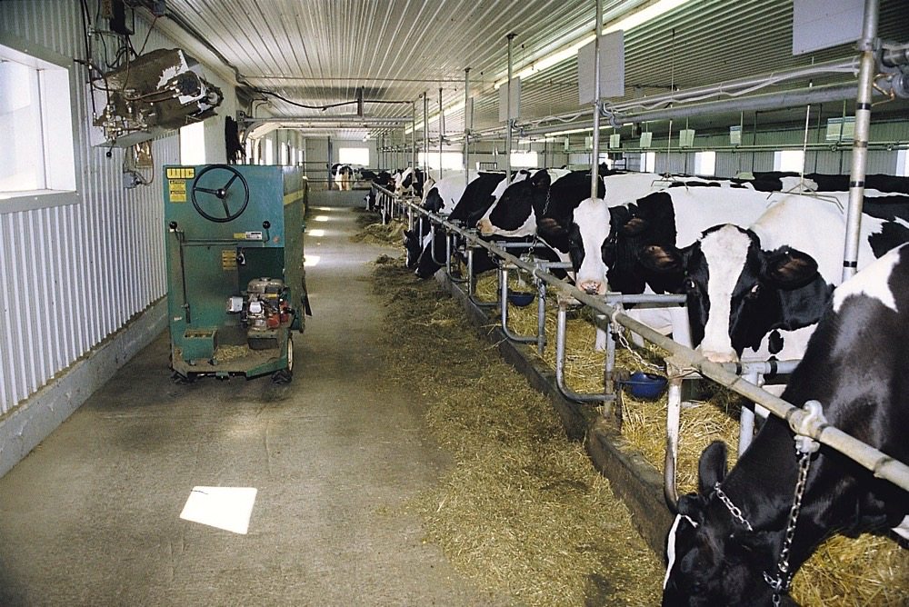 Employment program pilot seeks Manitoba dairy farmers
