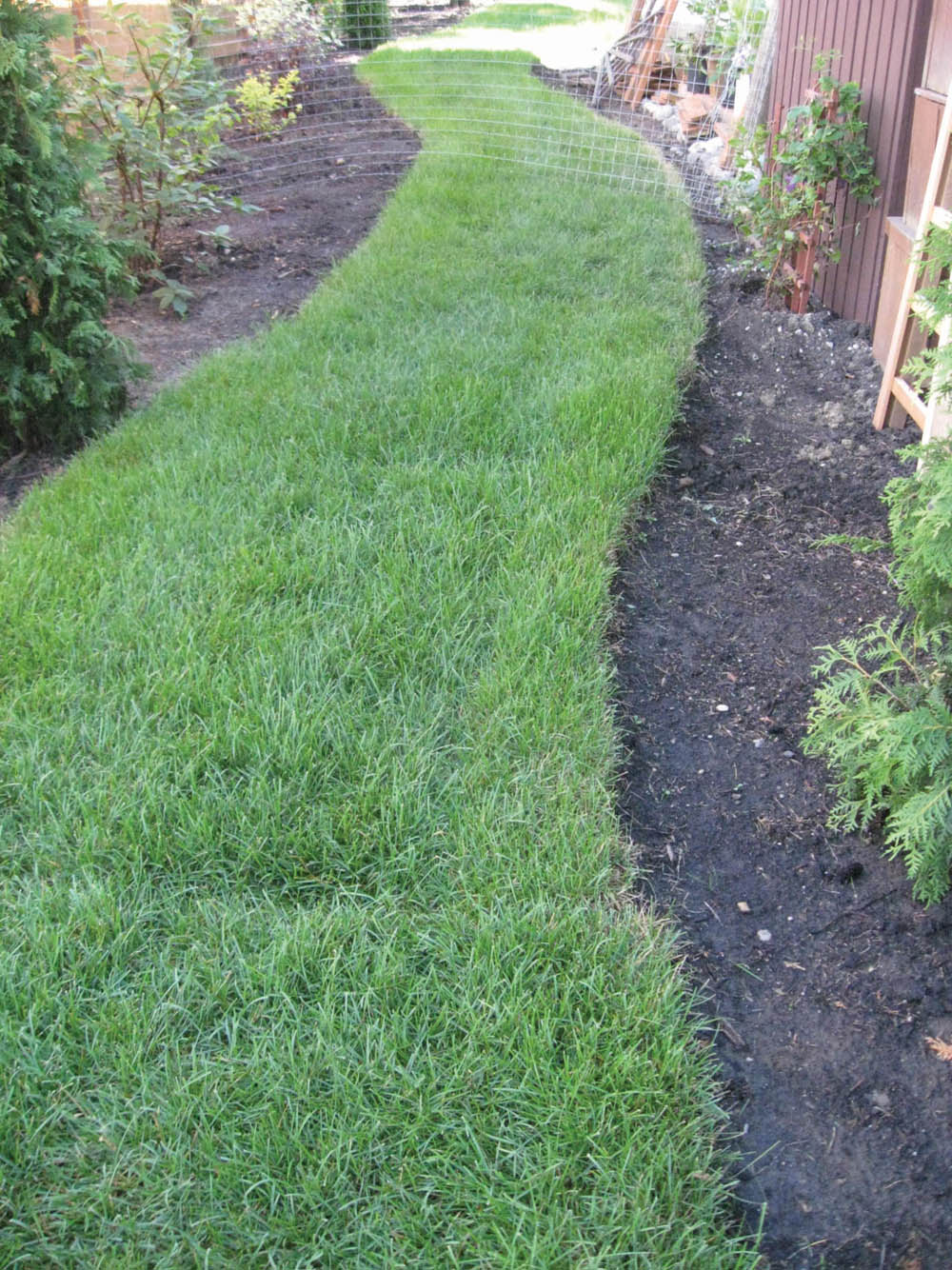 Using curves in your garden landscape Manitoba Cooperator