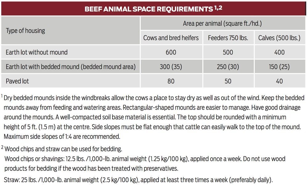 Facilities for Ontario beef cattle Canadian Cattlemen