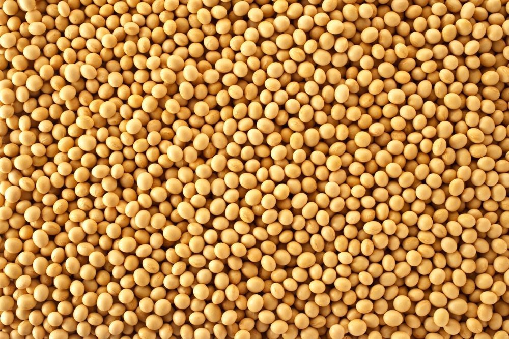 New soybean varieties from seed companies