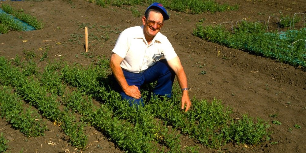 Al Slinkard, now a professor emeritus at the University of Saskatchewan, faced some skepticism when he first started working with lentils in the 1970s.