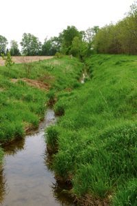 The world’s supply of fertilizer is an issue, but not as urgent as is addressing the environmental impacts from nutrient losses.
