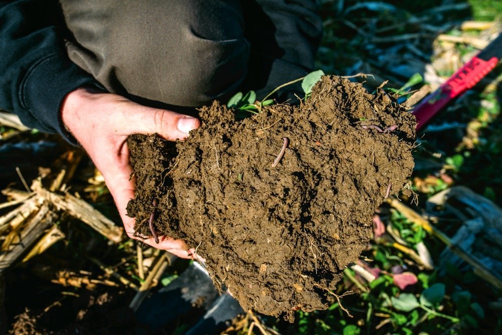 “The more I learn about soil, the less I treat it like dirt.” — Tyler Vollmershausen