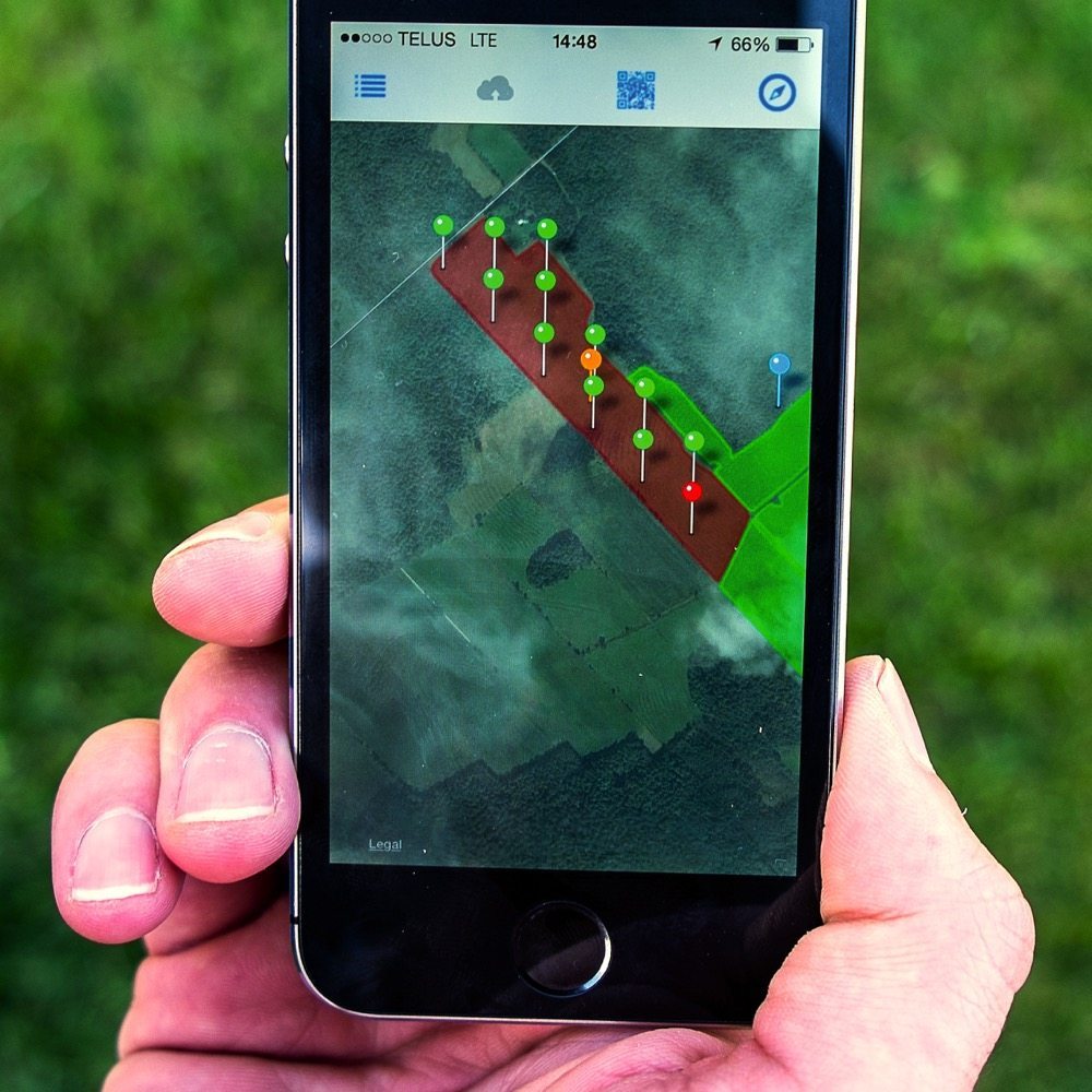 The georeference for each sample is recorded by cellphone.