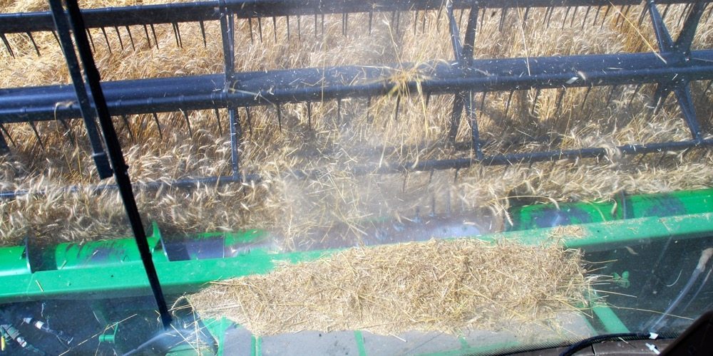 “The expectation the farmer has is higher than what the tool can actually deliver.” – Felix Weber, Ag Business & Crop.