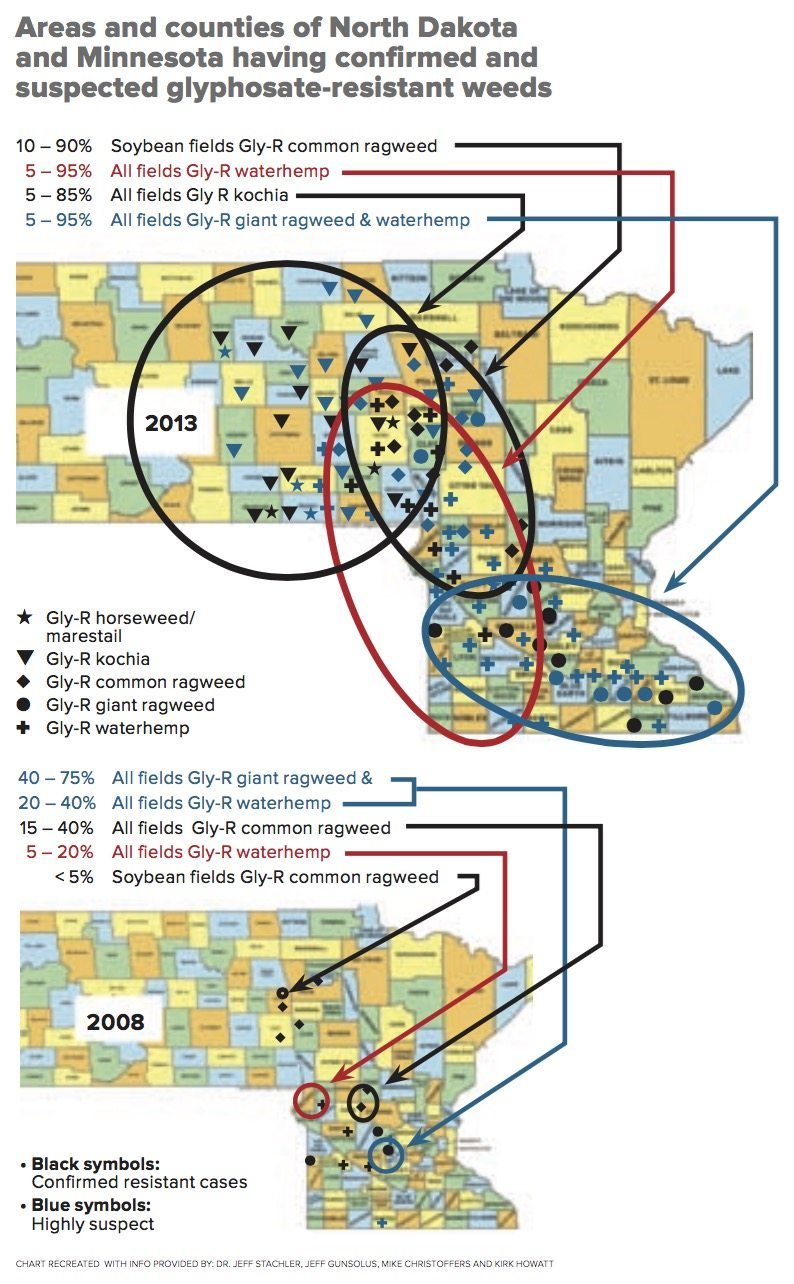 These maps produced by Jeff Stachler of NDSU show the progression of glyphosate-resistant weeds in North Dakota and Minnesota from 2008 to 2013. (Chart recreated with information provided by: Dr. Jeff Stachler, Jeff Gunsolus, Mike Christoffers, and Kirk Howatt)