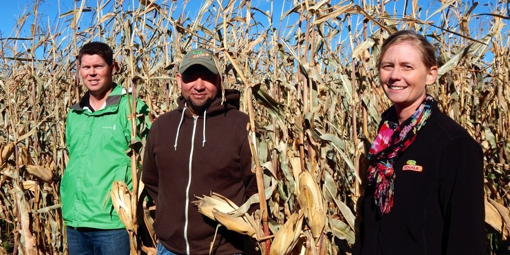 For Allan Froese, Rafael Mateo and Sarah Gehlar, the 110 bushel-per-acre goal is just a start.