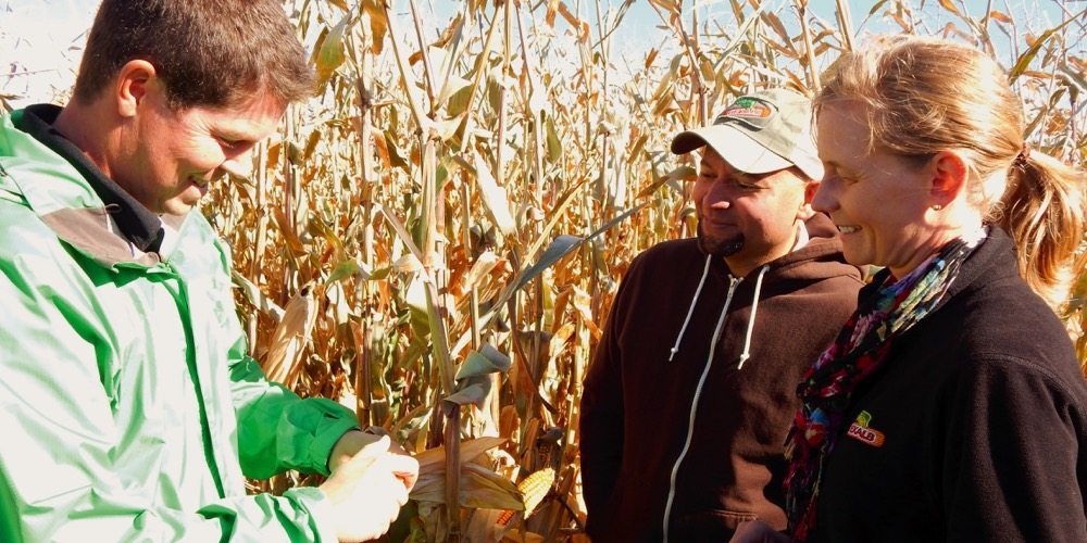At 2016 prices, corn would generate a gross around $500 per acre.